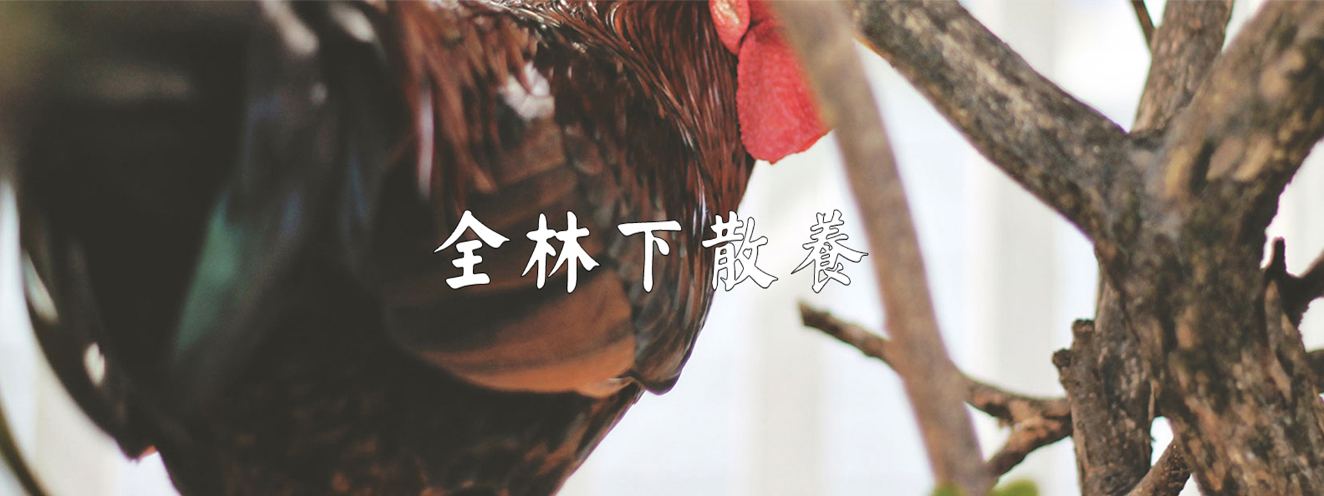 重慶午夜福利短视频農產品配送有限公司